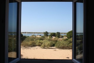 Vista desde la casa.